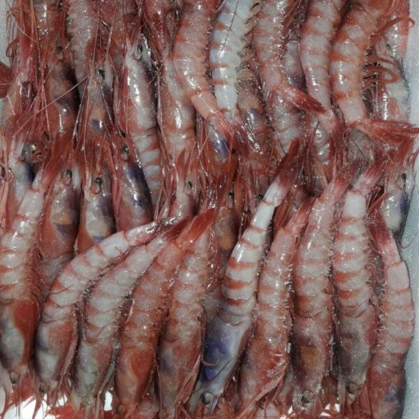 GAMBAS ISLA CRISTINA