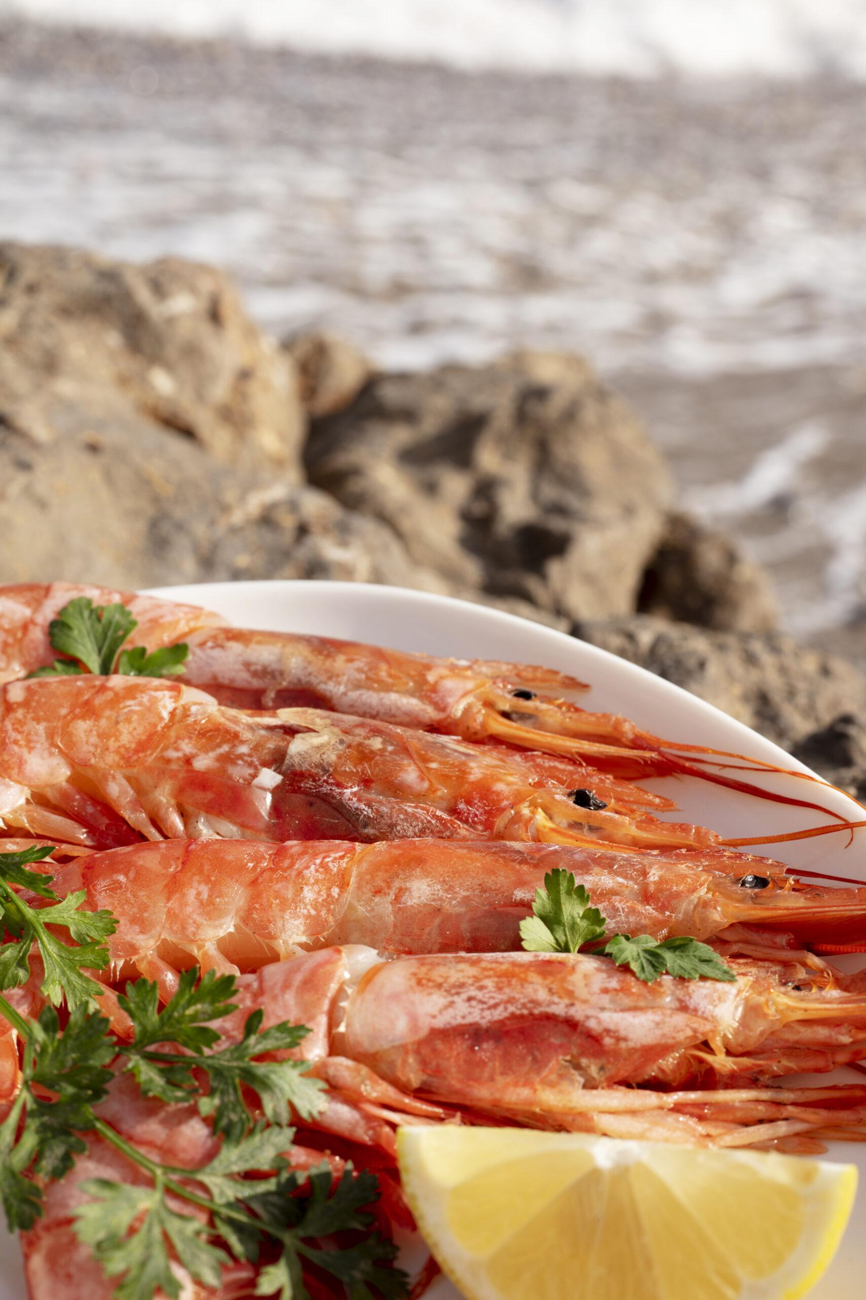 GAMBAS Y MARISCO DE ISLA CRISTINA